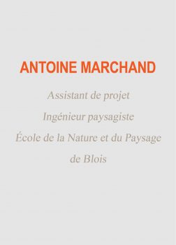 Antoine
